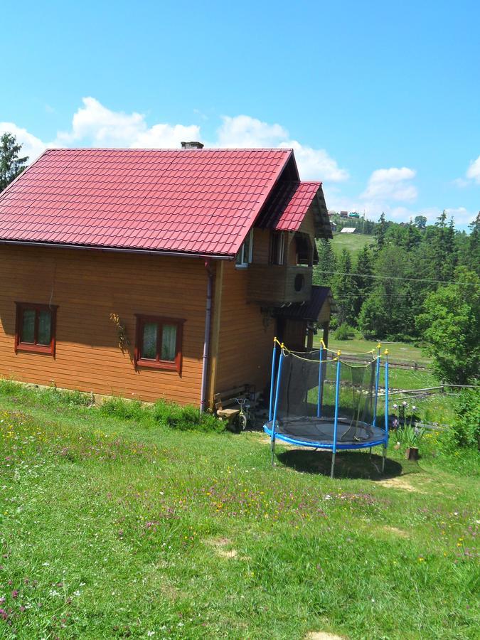 Lisovychok Villa Vorokhta Exterior photo
