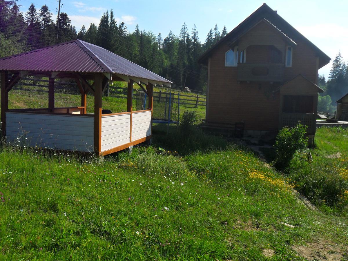 Lisovychok Villa Vorokhta Exterior photo