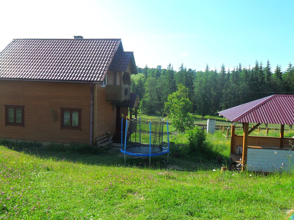 Lisovychok Villa Vorokhta Exterior photo